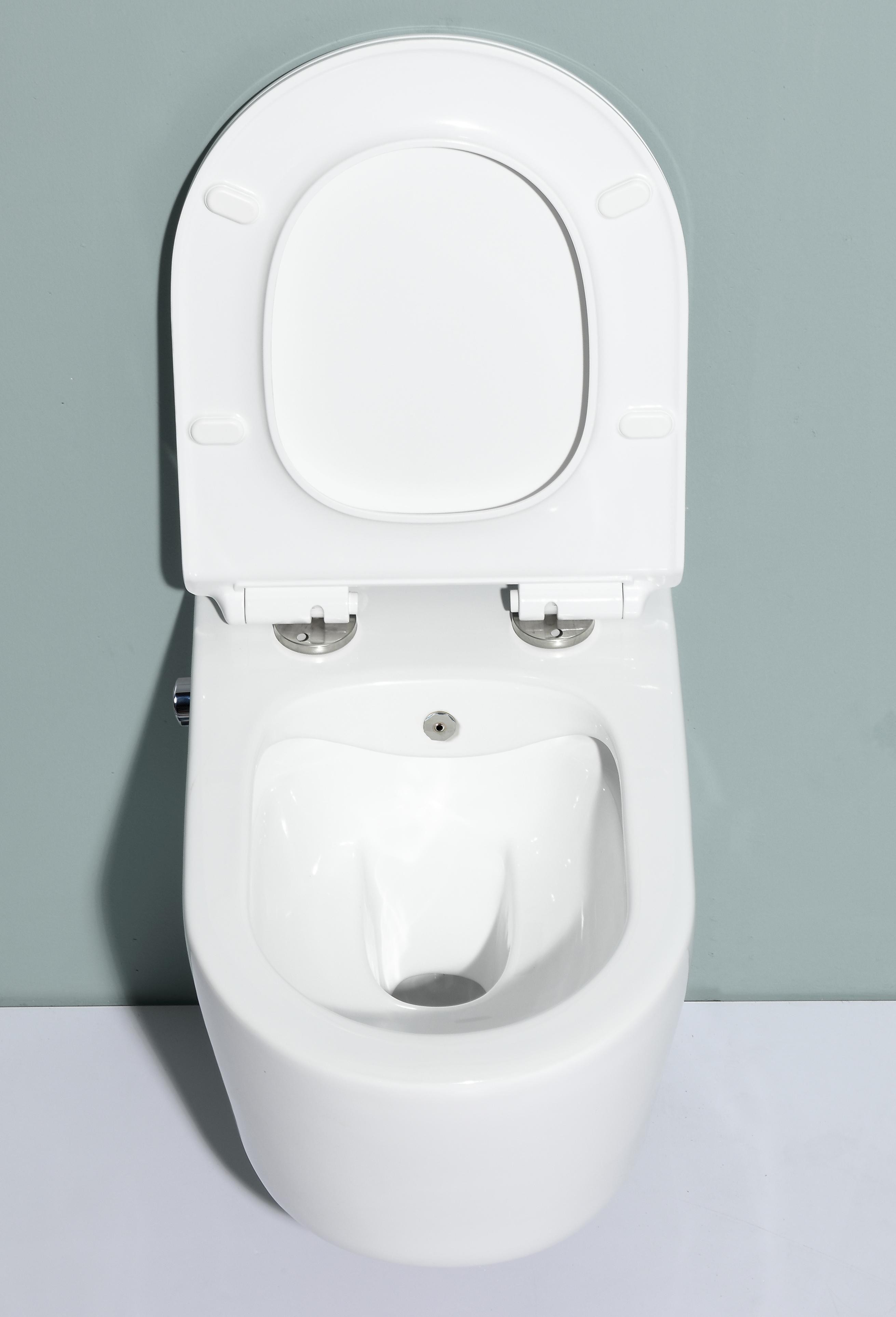 Wand Hänge WC Spülrandlos Taharet Dusch-WC Toilette inkl Armatur Softclose